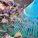 Empresas de Limpiezas Fuenlabrada Limpieza de otoño 2
